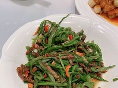 -紫光园·烤鸭·北京菜(劲松店)