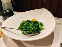 清炒豌豆尖-梧桐