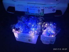 -枫花园汽车电影院(朝阳公园店)