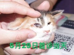 -萌兽医馆·犬猫专科·眼科中心·宠物医院(朝阳门分院)