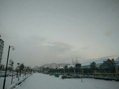 -银座商城(东城店)