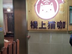 -楼上猫咖(罗湖店)
