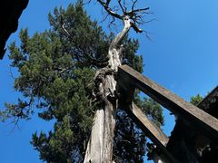 -太平天国侍王府