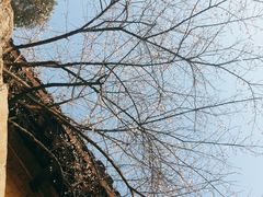 -韶山毛泽东同志故居