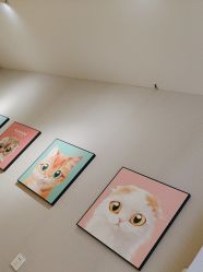 -洗脸猫·洗脸吧