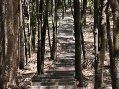 -火炉山森林公园