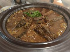 -丁老爷子苏香圆