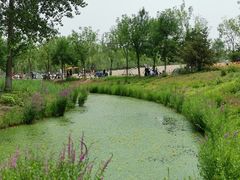 -东郊湿地公园