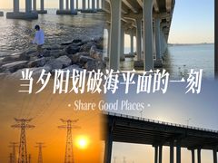 -宝安西湾红树林湿地公园