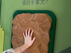 -武汉动物园