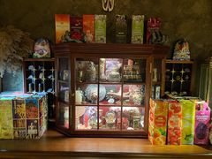-雪灵魔法世界SHELLY’S TAROT(大良桂畔里店)