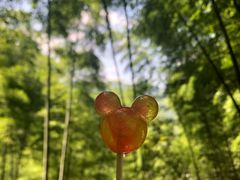 -藏龙百瀑风景区