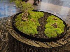 -臻品足道(后湖店)