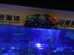 -成都浩海立方海洋公园