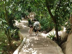 -南山植物园