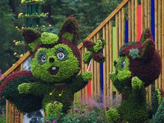 -上海共青森林公园