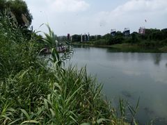 -太湖湖滨国家湿地公园-停车场