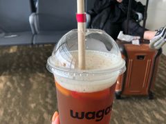 -Wagas沃歌斯(浦东机场店)
