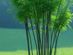 -广州雕塑公园