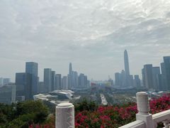 -莲花山公园