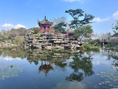 -顺峰山公园