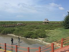 -北海金海湾红树林生态旅游区