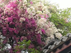 -人民公园(罗湖区)