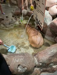 -造物庄园 萌宠纪(苏州湾歌林公园店)