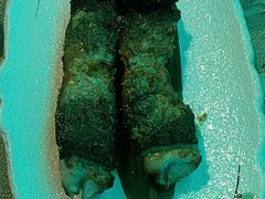 -质烤烤物·活烤海鲜(质烤总店)