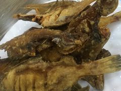 -林之六八·6886大连老菜馆