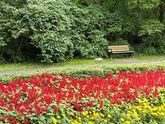 -黑龙江省森林植物园