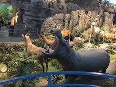 -陕西自然博物馆