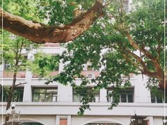 -上海市黄浦区卢湾第一中心小学