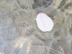 -玛格萝妮比萨屋(四平店)