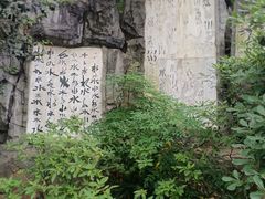 -白沙古井