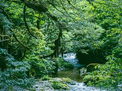 -龙苍沟森林公园