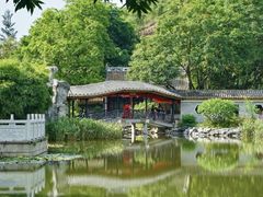 -顺峰山公园