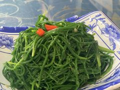 -靖远尕六美味羊羔肉