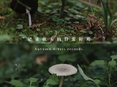 -杭州植物园