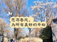 -三里河公园