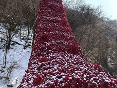 -少华山国家森林公园