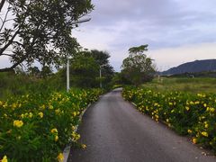 -光明小镇欢乐田园