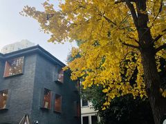 -徐家汇源景区-衡山坊