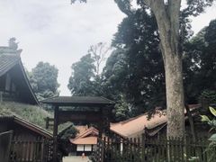 -都江堰普照寺