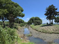 -七的湖·晚芳亭·阳澄湖农家菜·大闸蟹(莲花岛店)