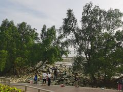 -宝安西湾红树林湿地公园