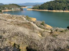 -广州市流溪河国家森林公园