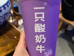 -一只酸奶牛(八一路店)