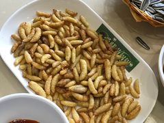 -爱膳菌锅锅(阳南店)
