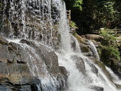 -鼎湖山风景区